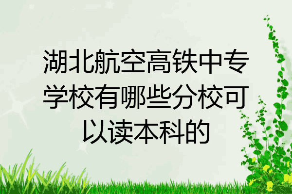 湖北航空高铁中专学校有哪些分校可以读本科的