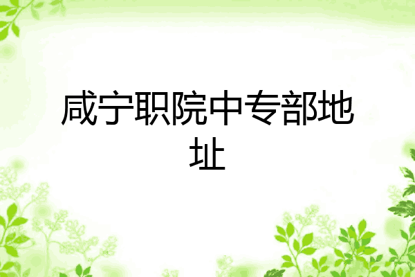 咸宁职院中专部地址
