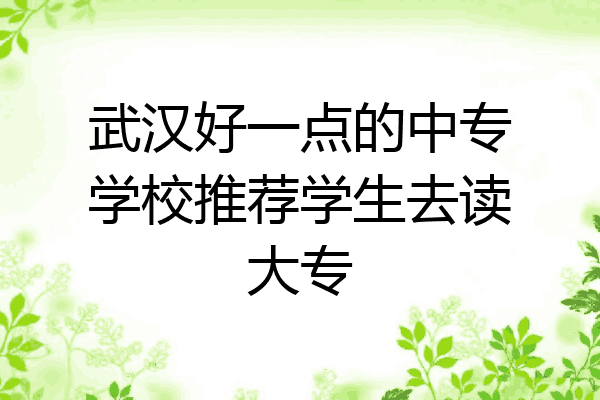 武汉好一点的中专学校推荐学生去读大专