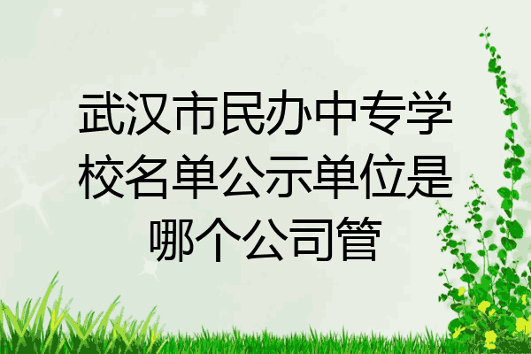武汉市民办中专学校名单公示单位是哪个公司管