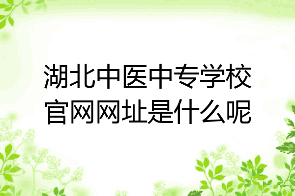 湖北中医中专学校官网网址是什么呢