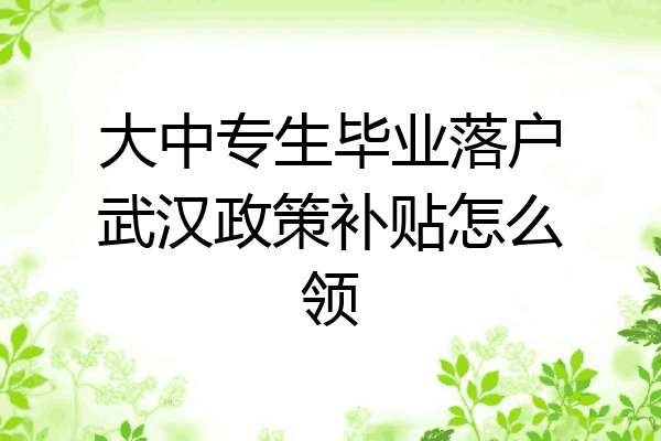 大中专生毕业落户武汉政策补贴怎么领