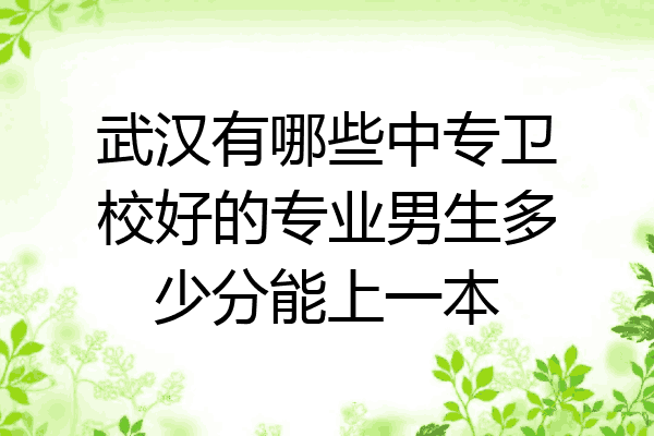 武汉有哪些中专卫校好的专业男生多少分能上一本