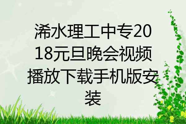 浠水理工中专2018元旦晚会视频播放下载手机版安装