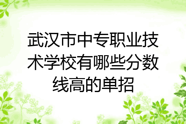 武汉市中专职业技术学校有哪些分数线高的单招