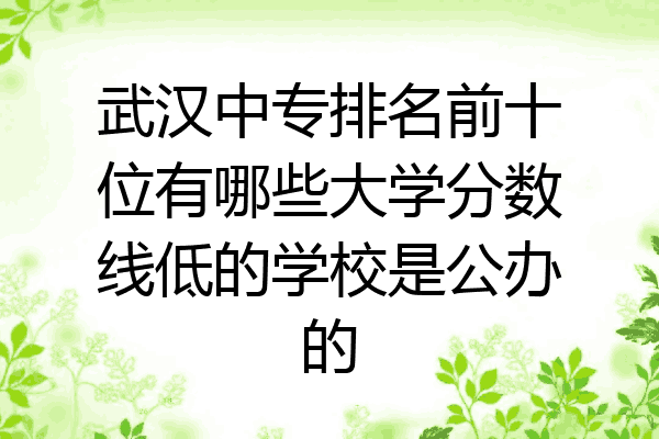 武汉中专排名前十位有哪些大学分数线低的学校是公办的