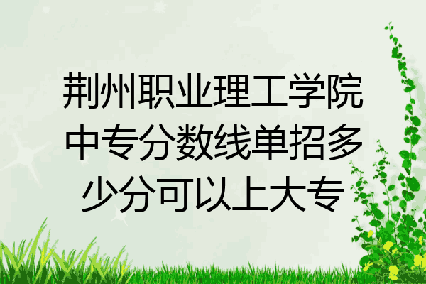 荆州职业理工学院中专分数线单招多少分可以上大专