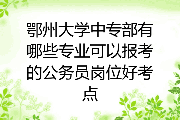 鄂州大学中专部有哪些专业可以报考的公务员岗位好考点