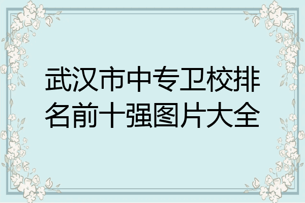 武汉市中专卫校排名前十强图片大全