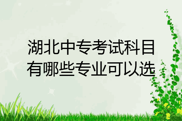 湖北中专考试科目有哪些专业可以选