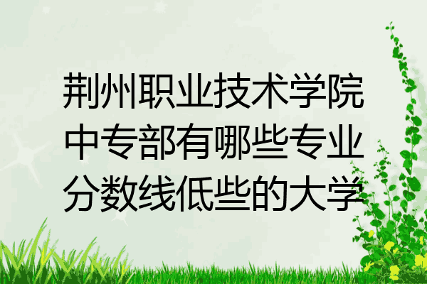 荆州职业技术学院中专部有哪些专业分数线低些的大学
