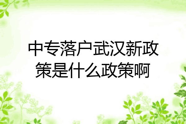 中专落户武汉新政策是什么政策啊