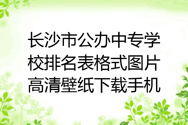 长沙市公办中专学校排名表格式图片高清壁纸下载手机