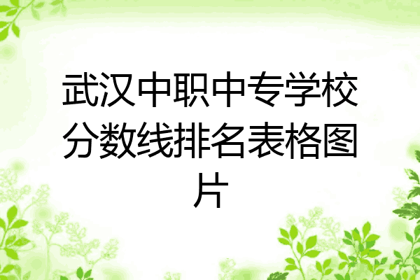 武汉中职中专学校分数线排名表格图片