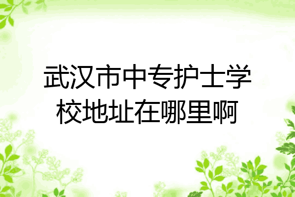 武汉市中专护士学校地址在哪里啊