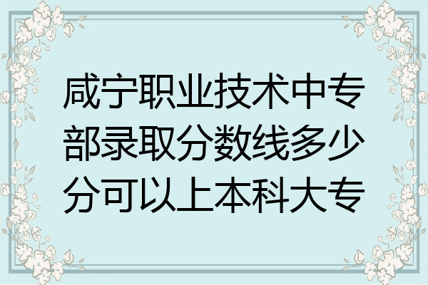 咸宁职业技术中专部录取分数线多少分可以上本科大专
