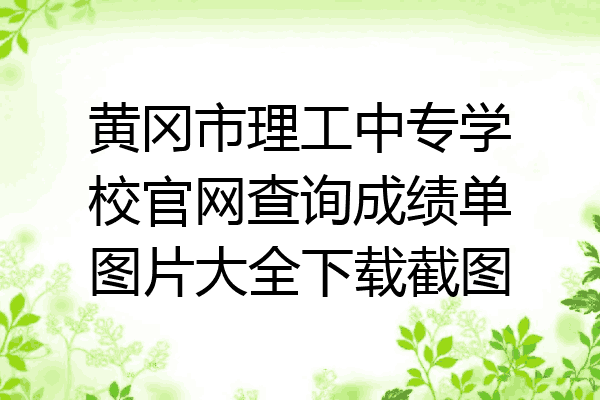 黄冈市理工中专学校官网查询成绩单图片大全下载截图