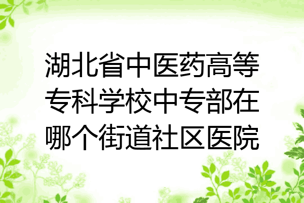 湖北省中医药高等专科学校中专部在哪个街道社区医院