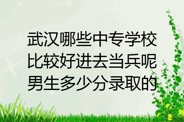 武汉哪些中专学校比较好进去当兵呢男生多少分录取的