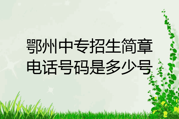 鄂州中专招生简章电话号码是多少号