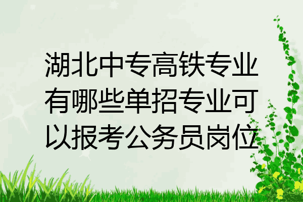 湖北中专高铁专业有哪些单招专业可以报考公务员岗位