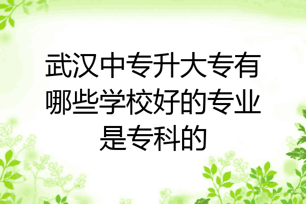 武汉中专升大专有哪些学校好的专业是专科的