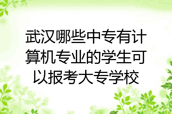 武汉哪些中专有计算机专业的学生可以报考大专学校