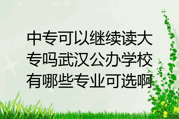 中专可以继续读大专吗武汉公办学校有哪些专业可选啊