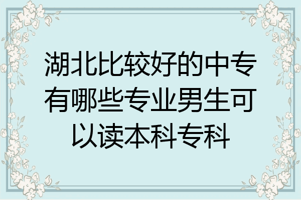 湖北比较好的中专有哪些专业男生可以读本科专科