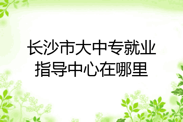 长沙市大中专就业指导中心在哪里