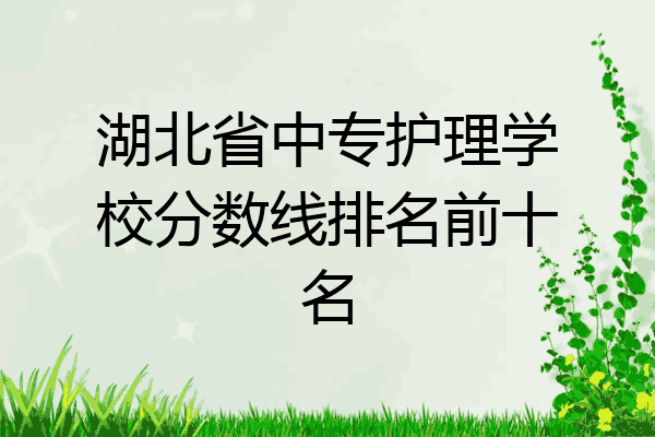 湖北省中专护理学校分数线排名前十名