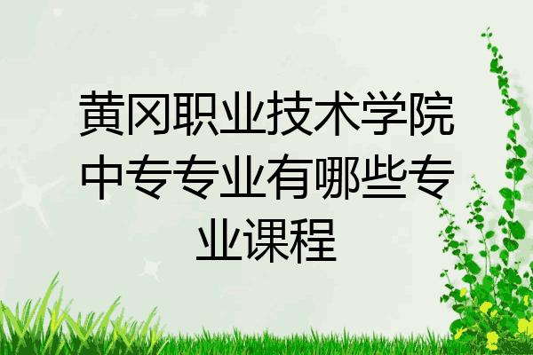 黄冈职业技术学院中专专业有哪些专业课程