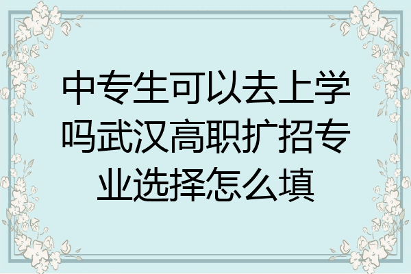 中专生可以去上学吗武汉高职扩招专业选择怎么填