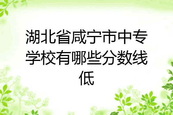 湖北省咸宁市中专学校有哪些分数线低