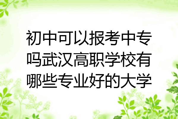 初中可以报考中专吗武汉高职学校有哪些专业好的大学