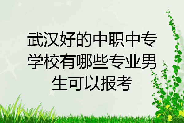 武汉好的中职中专学校有哪些专业男生可以报考