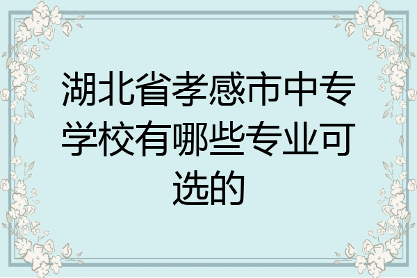 湖北省孝感市中专学校有哪些专业可选的