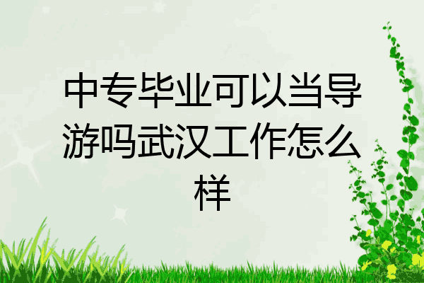 中专毕业可以当导游吗武汉工作怎么样
