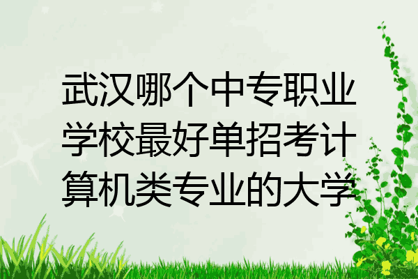 武汉哪个中专职业学校最好单招考计算机类专业的大学