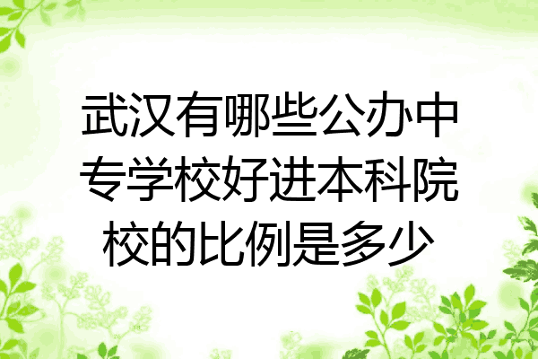 武汉有哪些公办中专学校好进本科院校的比例是多少