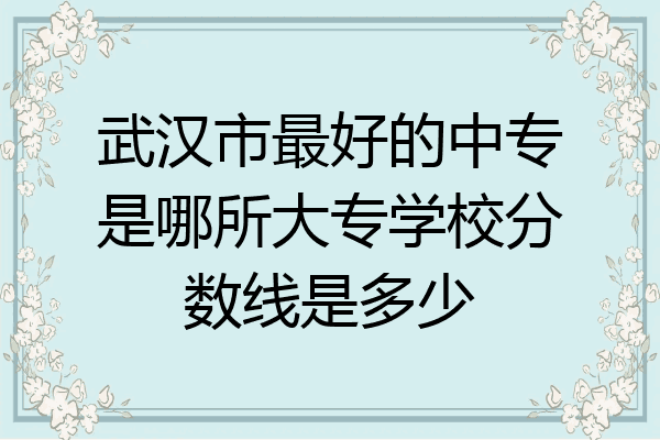 武汉市最好的中专是哪所大专学校分数线是多少