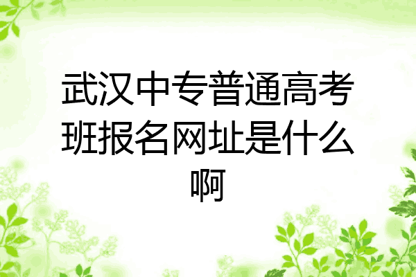 武汉中专普通高考班报名网址是什么啊