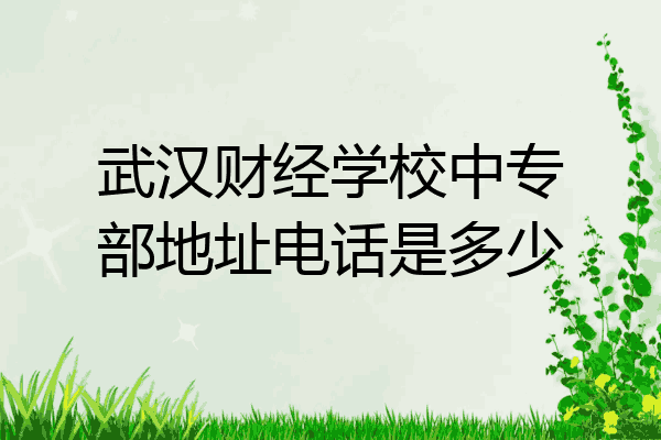 武汉财经学校中专部地址电话是多少