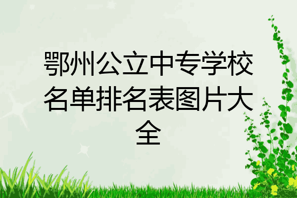鄂州公立中专学校名单排名表图片大全