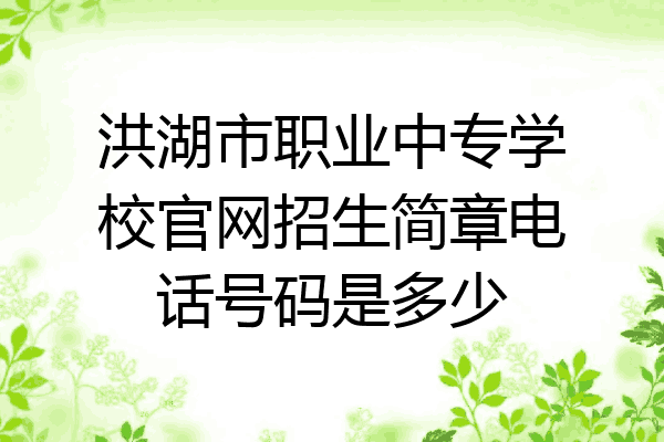 洪湖市职业中专学校官网招生简章电话号码是多少