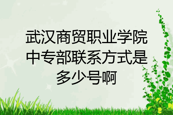 武汉商贸职业学院中专部联系方式是多少号啊