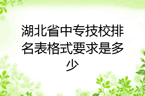 湖北省中专技校排名表格式要求是多少