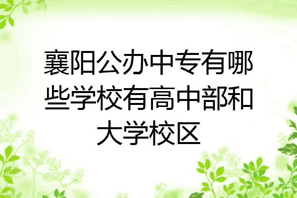 襄阳公办中专有哪些学校有高中部和大学校区