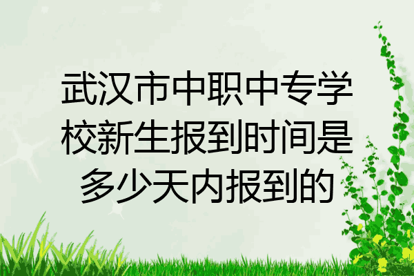 武汉市中职中专学校新生报到时间是多少天内报到的