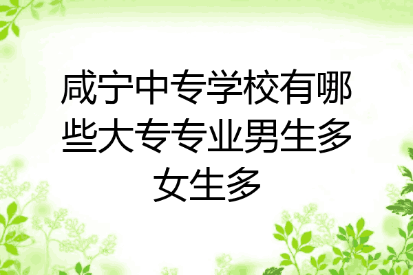 咸宁中专学校有哪些大专专业男生多女生多